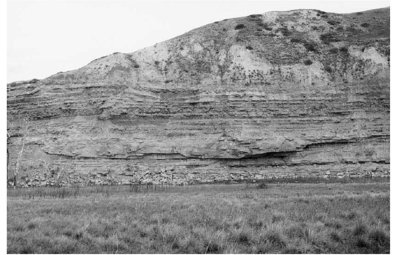 Anastomosing Rocks (PDF) Anastomosing rivers: a review of their classification, origin and ...