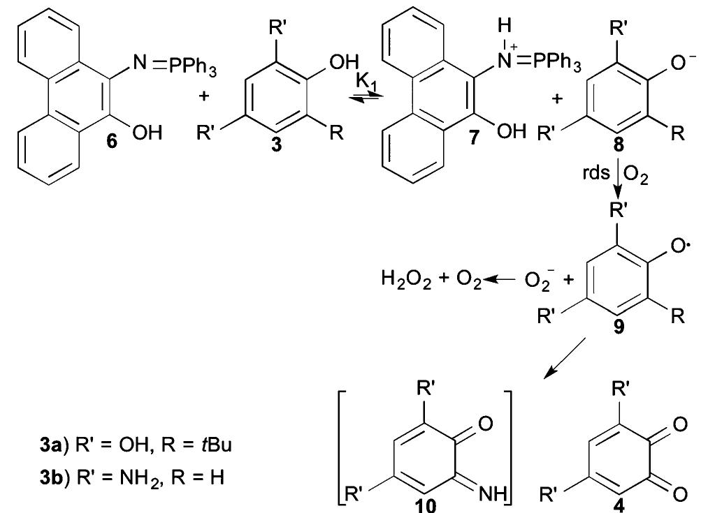 Experimental scheme 2 proposed mechanism of the oxidation of
