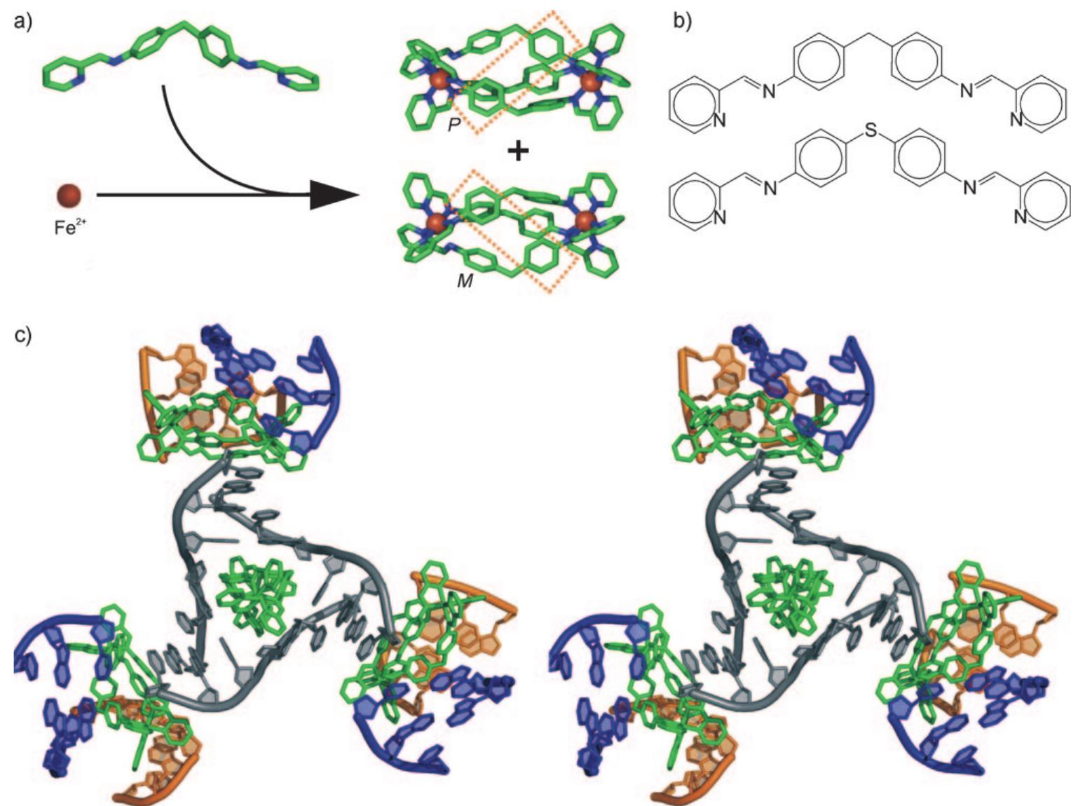 Figure 3 - from Three-Dimensional Organization of Block