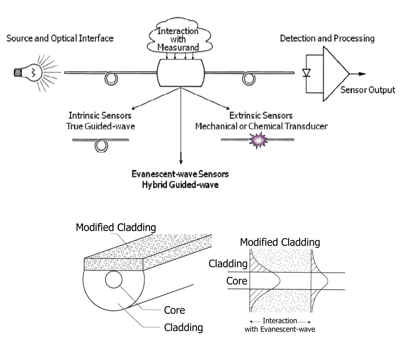 The waveguide sensor: general working principle. modulation