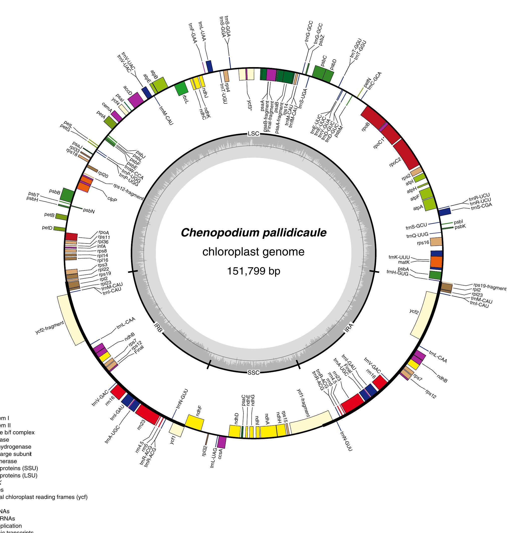 Genome annotation overview. an overview of gene and