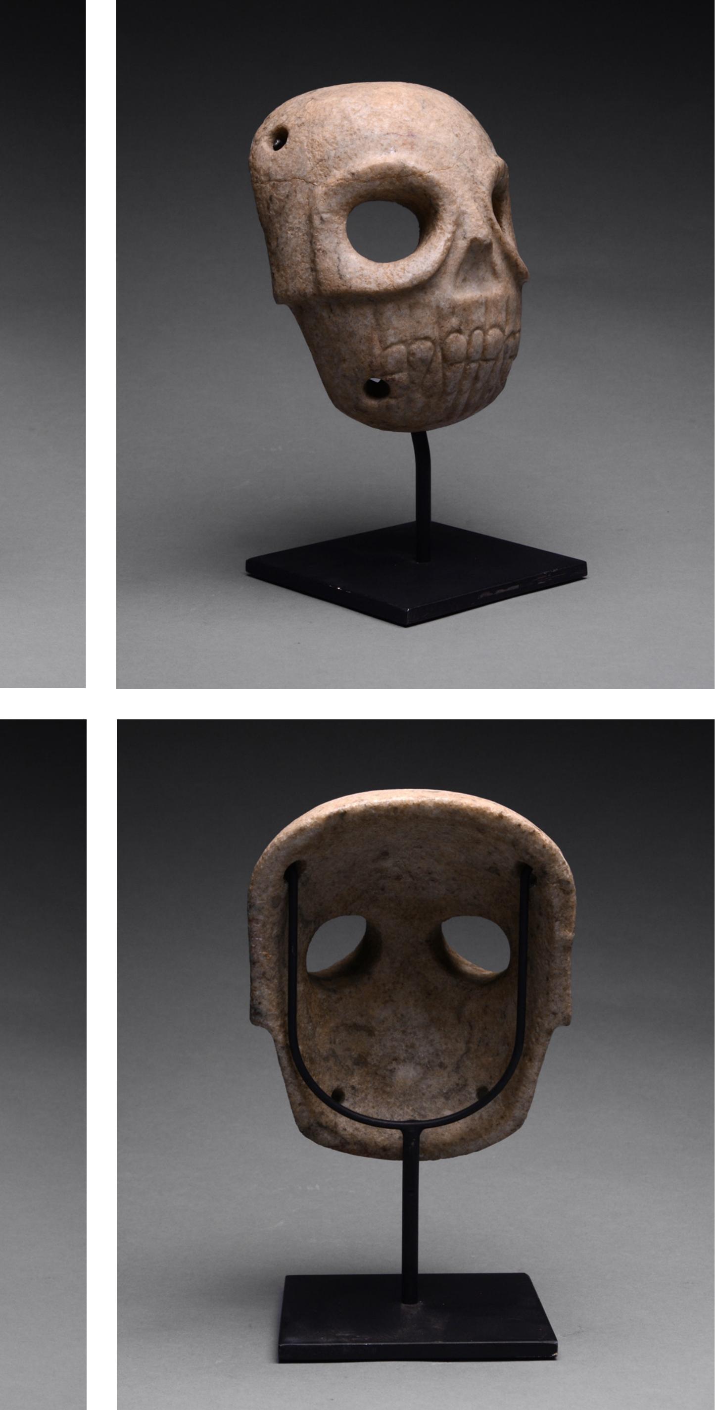PDF) Skulls Through History