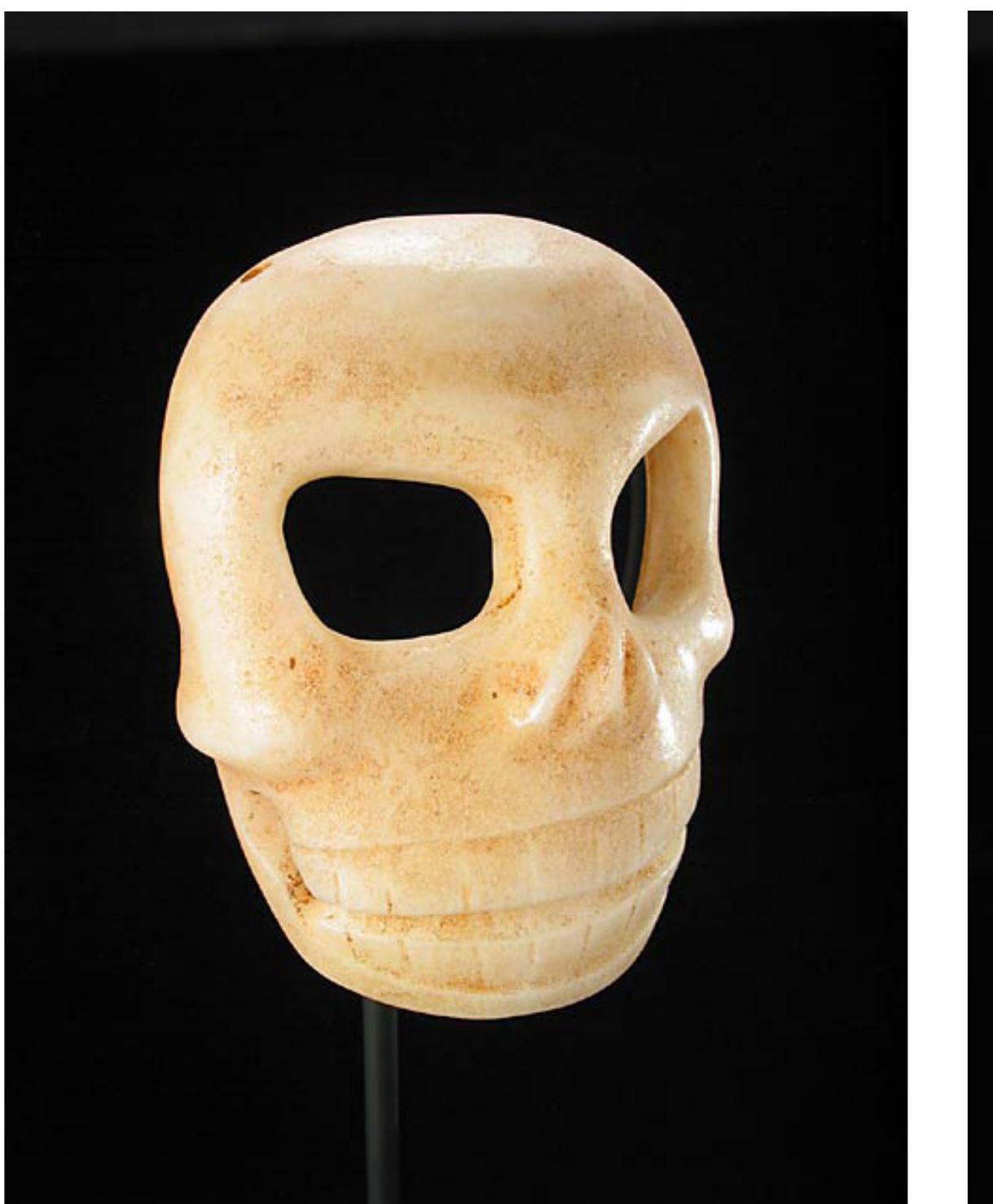 PDF) Skulls Through History