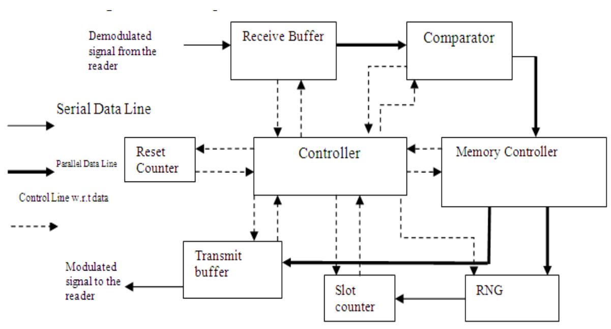 3.1 Block Diagram and Description of Baseband Architecture  Figure 3.1 is the proposed block diagram of the Baseband processor. The baseband processor is thi back-end part of the RFID system. The front-end part of the system comprises of a reader and the dat communication between the processor and the reader takes place in half-duplex mode. The data flov between the sub modules is in parallel form synchronized with respect to clock. This can improve th efficiency of the Baseband processor significantly. The controller is the center control of th  processor. It sends control signals to other sub modules to control their status. It starts the sub- modul when needed and stops it when the sub-module finishes its task. This can reduce the powe consumption of the processor. The receive buffer and transmit buffer interfaces with the analog front end. The Controller is the control center of the Baseband processor. The controller controls memor: R/W and clock divider. It sends control signals to the sub-modules and receives status signals fron  the sub-modules to control their status. It controls the data flow to each sub modules. It starts the sub module when needed and stops it when the sub-module has finished its task, this can reduce the powe of the processor significantly.  In this the software model of complete RFID system is been designed and developed. The best architecture for the baseband processor in terms of performance and hardware implementation feasibility is chosen for ASIC implementation. The hardware model of the baseband processor is developed using verilog HDL. The related RTL is synthesized using industry standard tool Design Compiler from Synopsys® by considering Multi Vt cell libraries. Power consumption of the design is noted down. The same netlist is carried to physical implementation flow. The efficiency of the power reduction due to the power optimization technique and also multi Vt design flow is analyzed. 