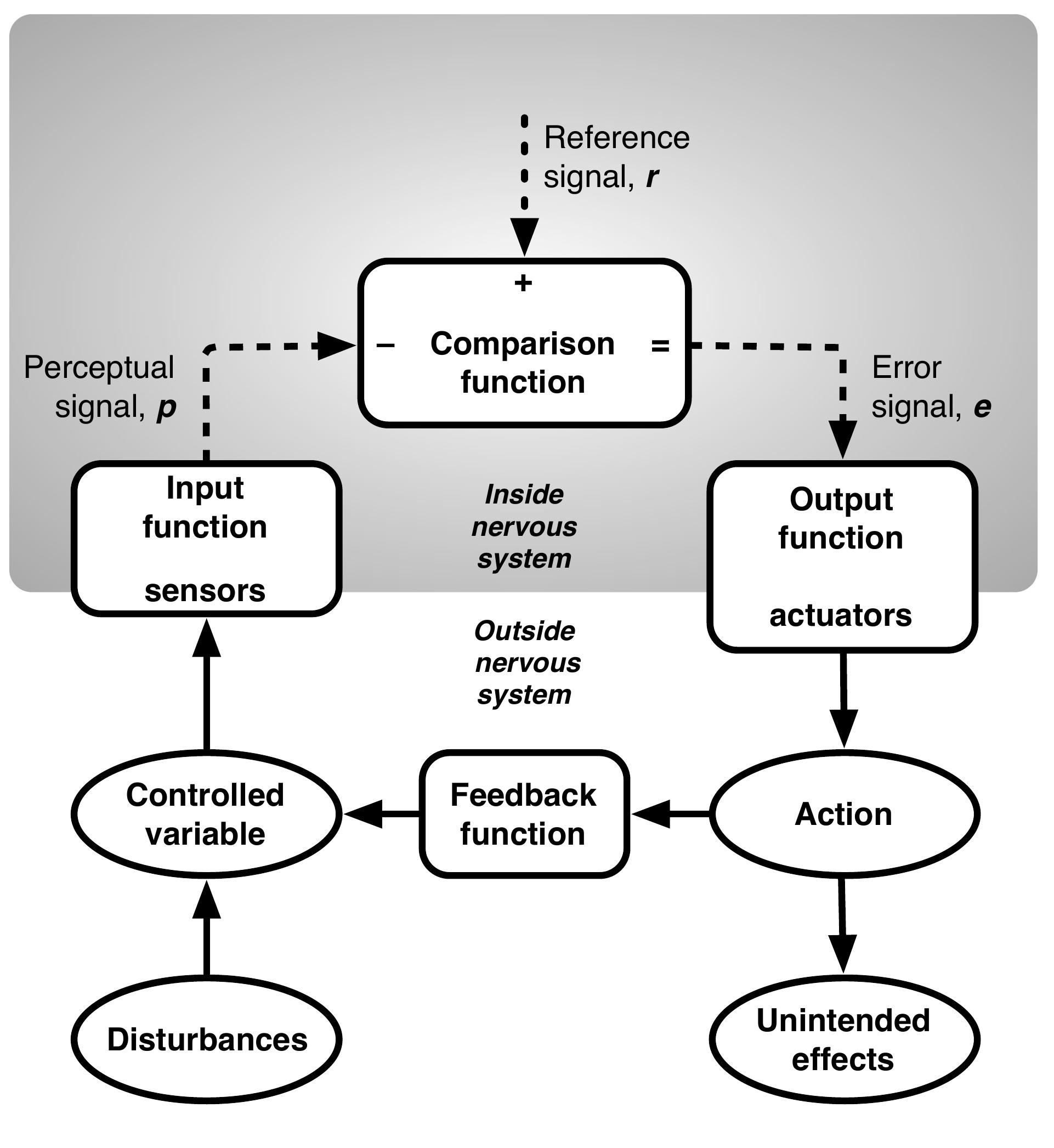 The perceptual control theory model of a negative feedback