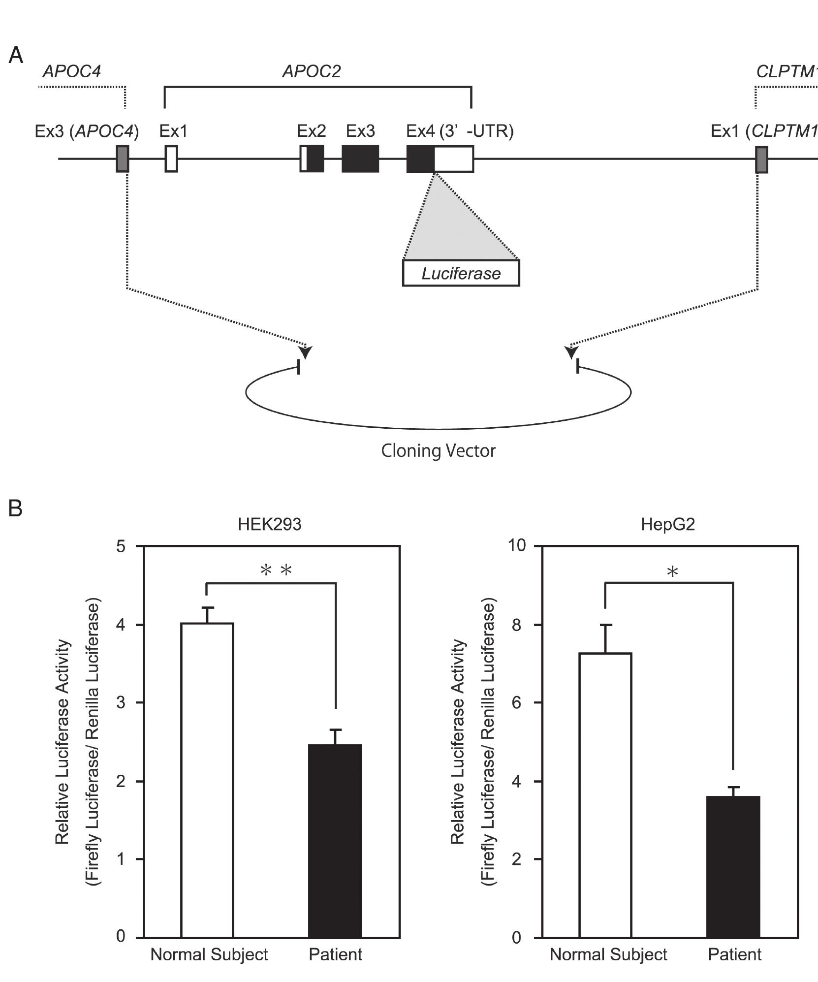 Apoc2 (PDF) Apolipoprotein C-II deficiency with no rare variant in the APOC2 gene