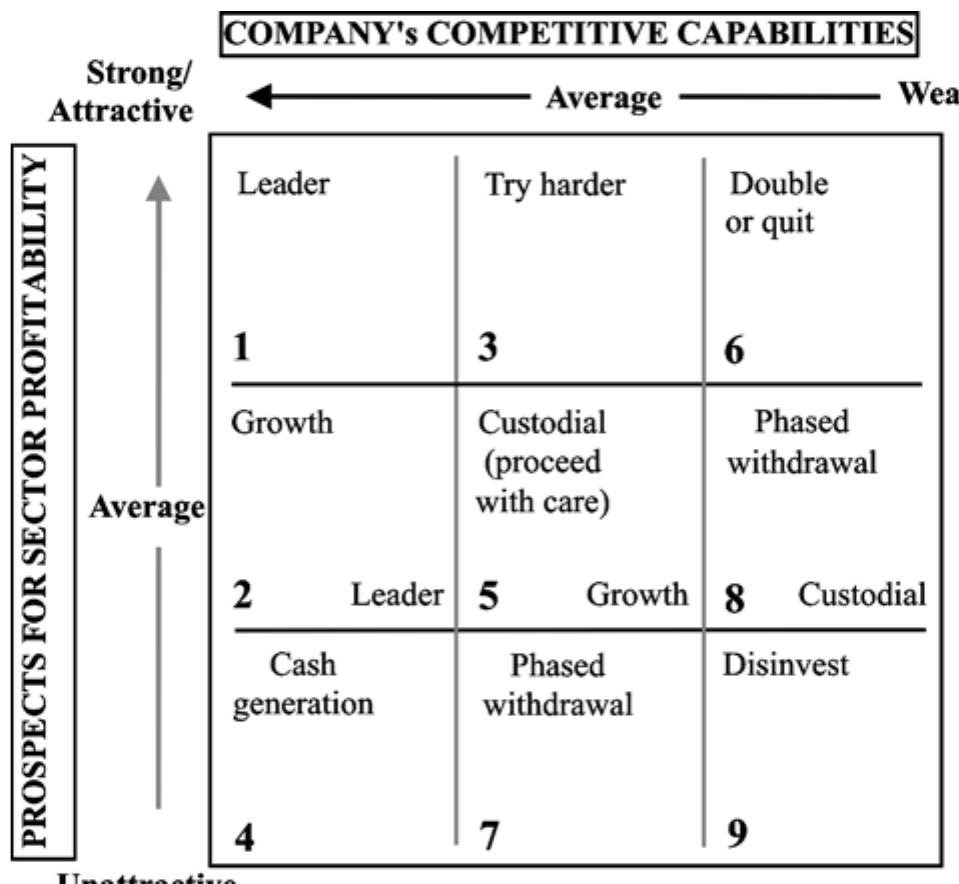 (PDF) Portfolio analysis – a useful management tool