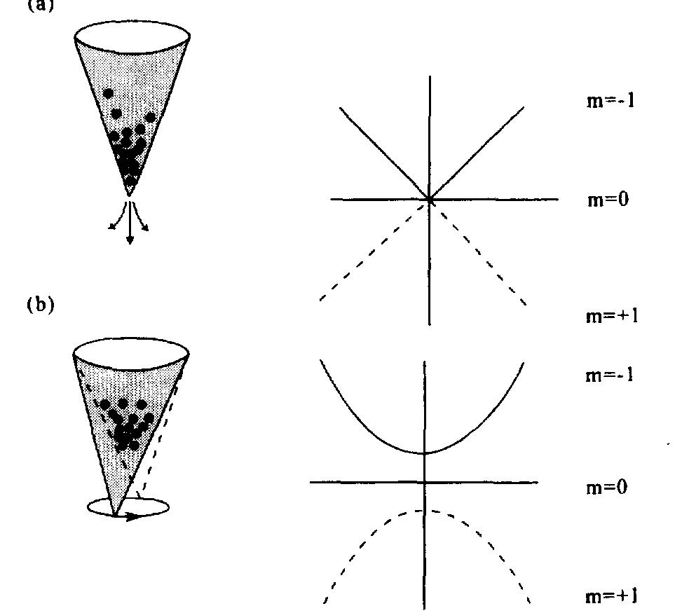 Schematic diagram illustrating the principle of the