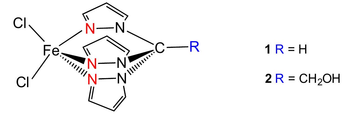 Fecl Structure Schematic structure representation of c-scorpionate