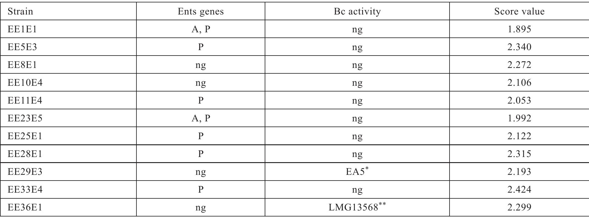 Table 3. Enterocins genes and bacteriocin activity of hemolysis and gelatinase negative Enterococcus faecalis strains  Ents = enterocins, Bc activity = bacteriocin-enterocin activity, ng = negative or no inhibition “growth of EA5 was inhibited (zones size > 10 mm), “*Listeria innocua LMG 13568 (University of Ghent/Laboratory of Microbiology, Ghent,  Belgium; inhibition zones 12 mm) 