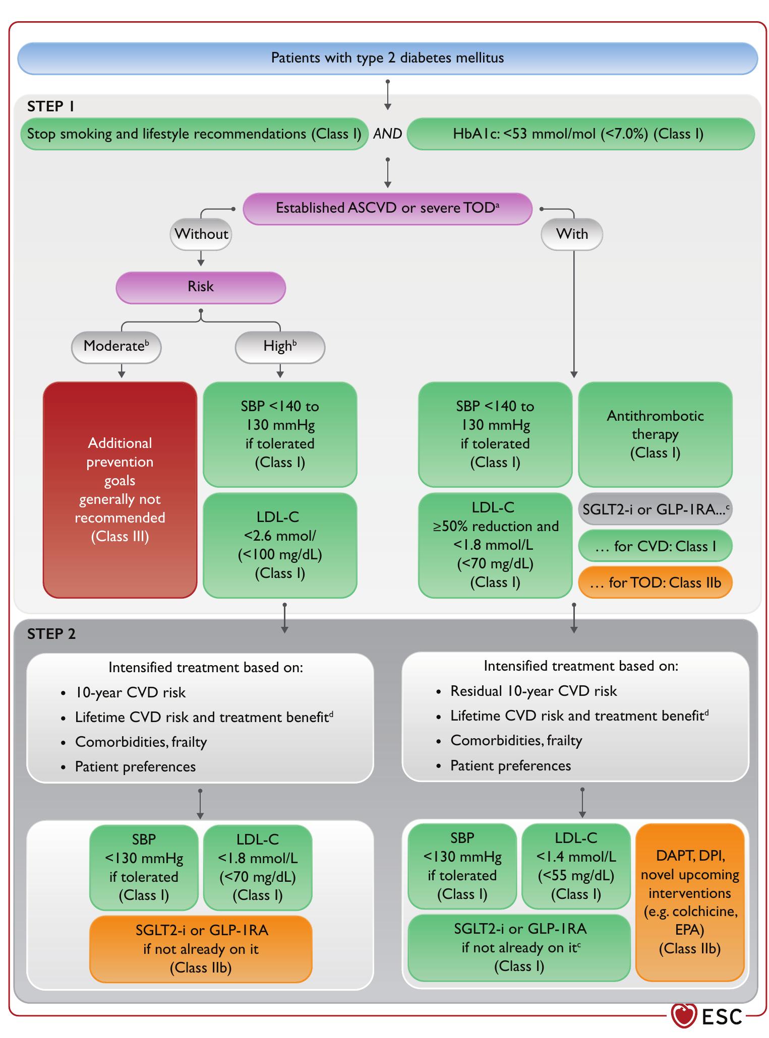 Flow chart of cardiovascular risk and risk factor treatment