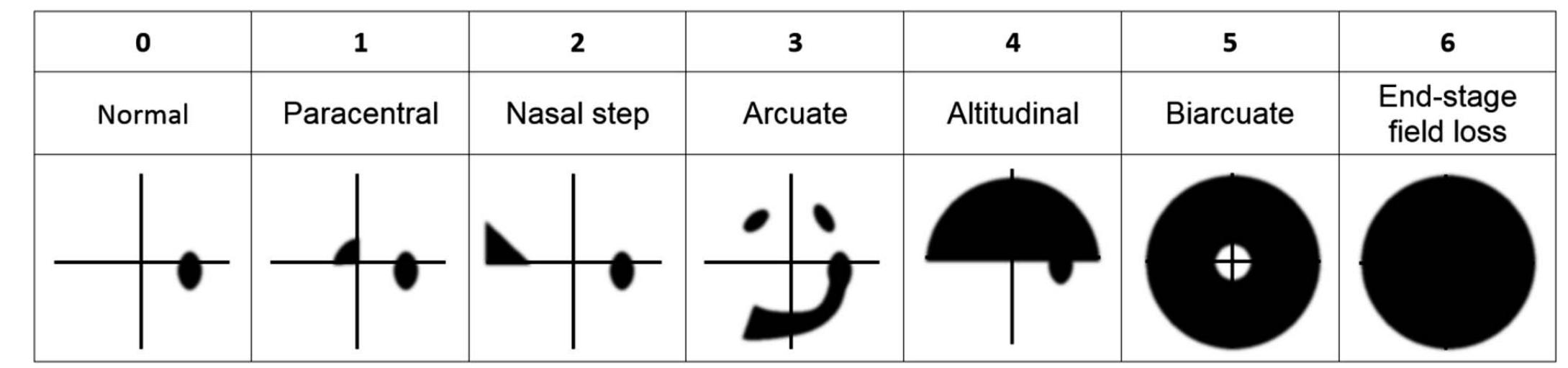 The patterns of visual field loss used for classification in