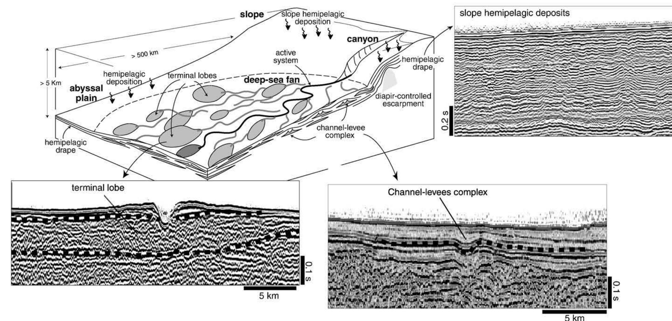 Block diagram showing the schematic spatial distribution of