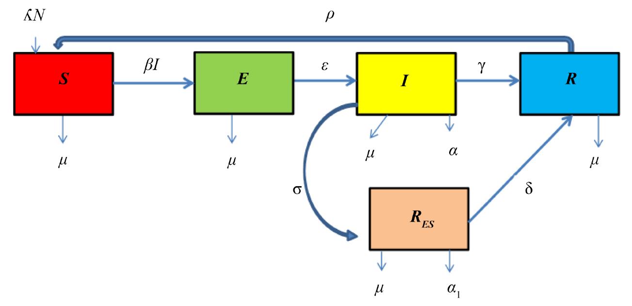 Schematics of the compartmental model. state variables: s,