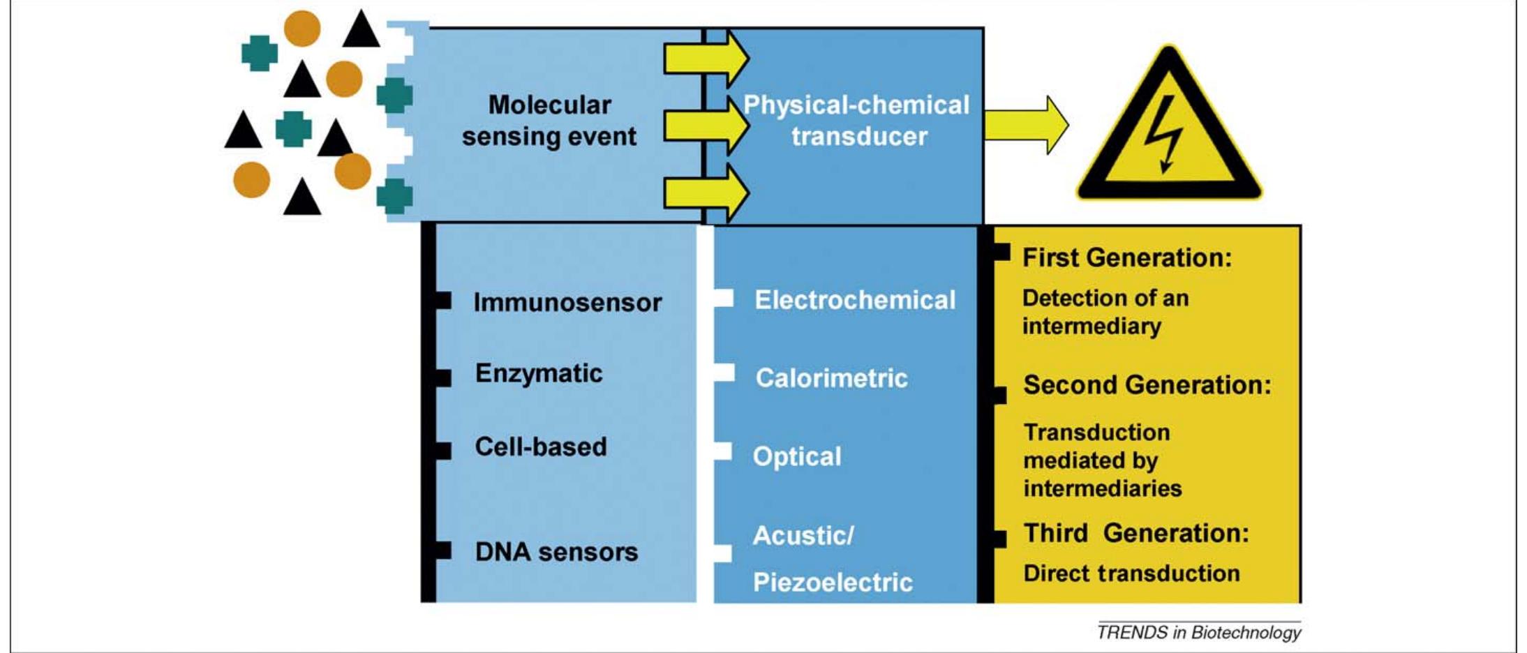 Schematic illustration of a biosensor. a biosensor is an