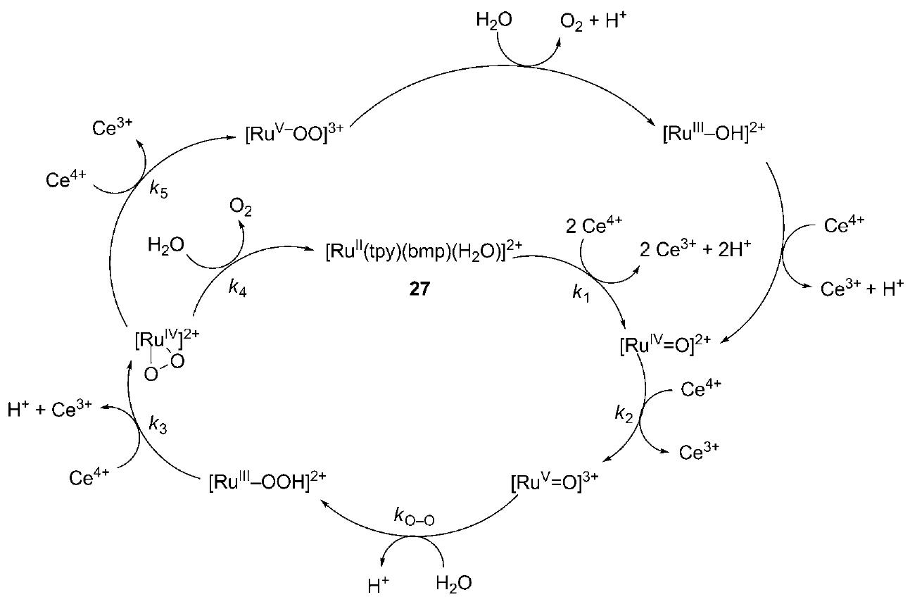 Mechanism for water oxidation catalyzed by ru-aqua complexes