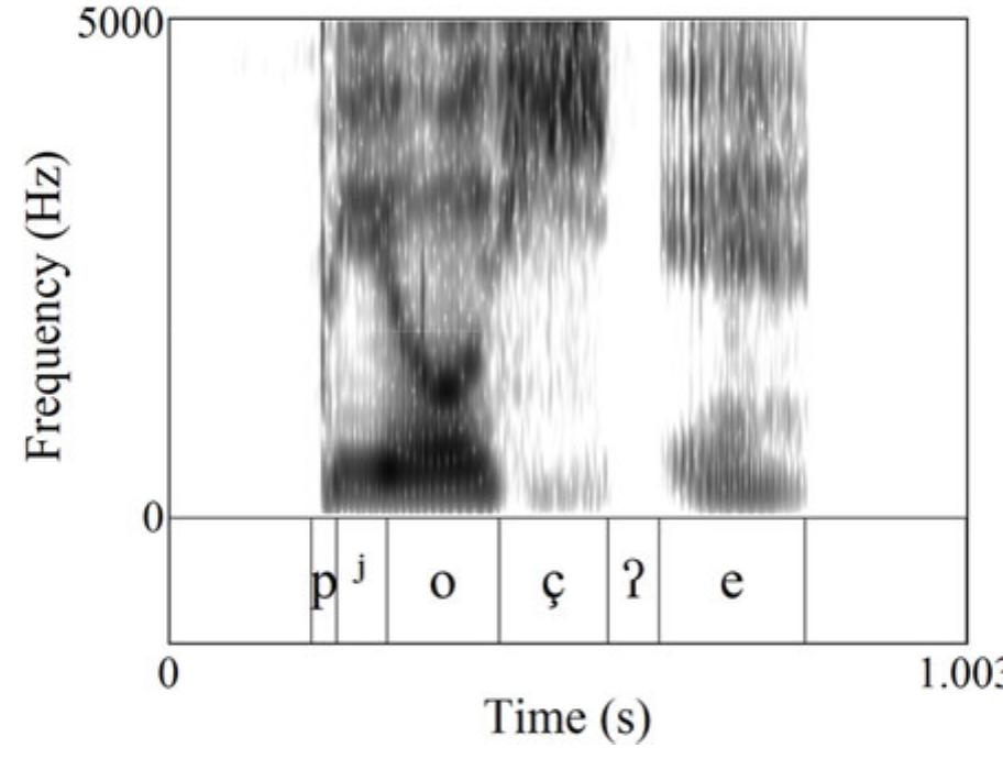 Figure 8 - Mojeño Trinitario ILLUSTRATIONS OF THE IPA