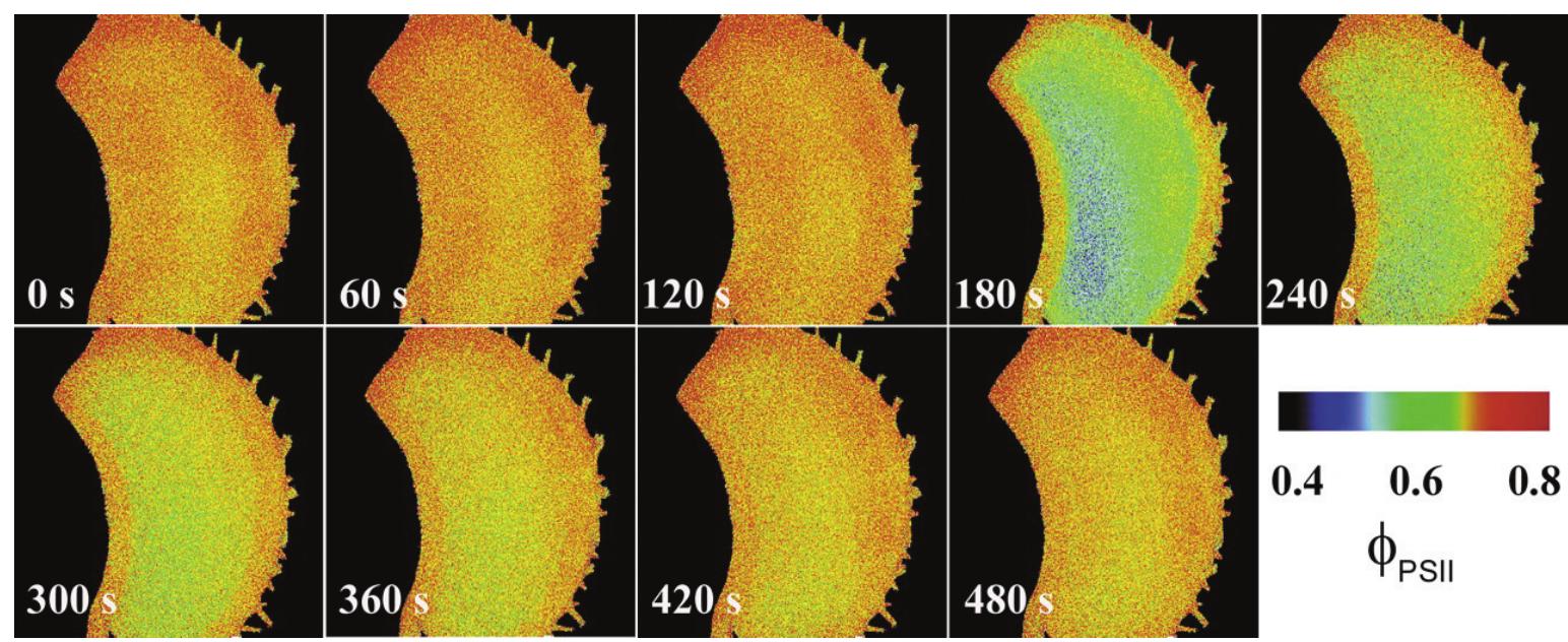ｃｄ4 PDF) Abiotic Stress in Plants - Mechanisms and Adaptations