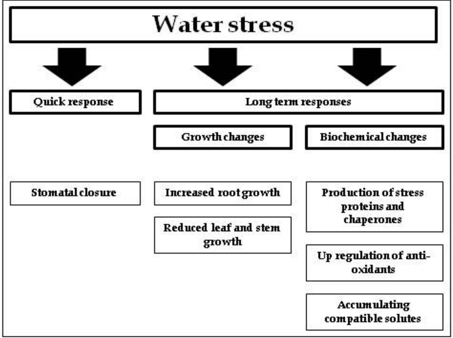 PDF) Abiotic Stress in Plants - Mechanisms and Adaptations