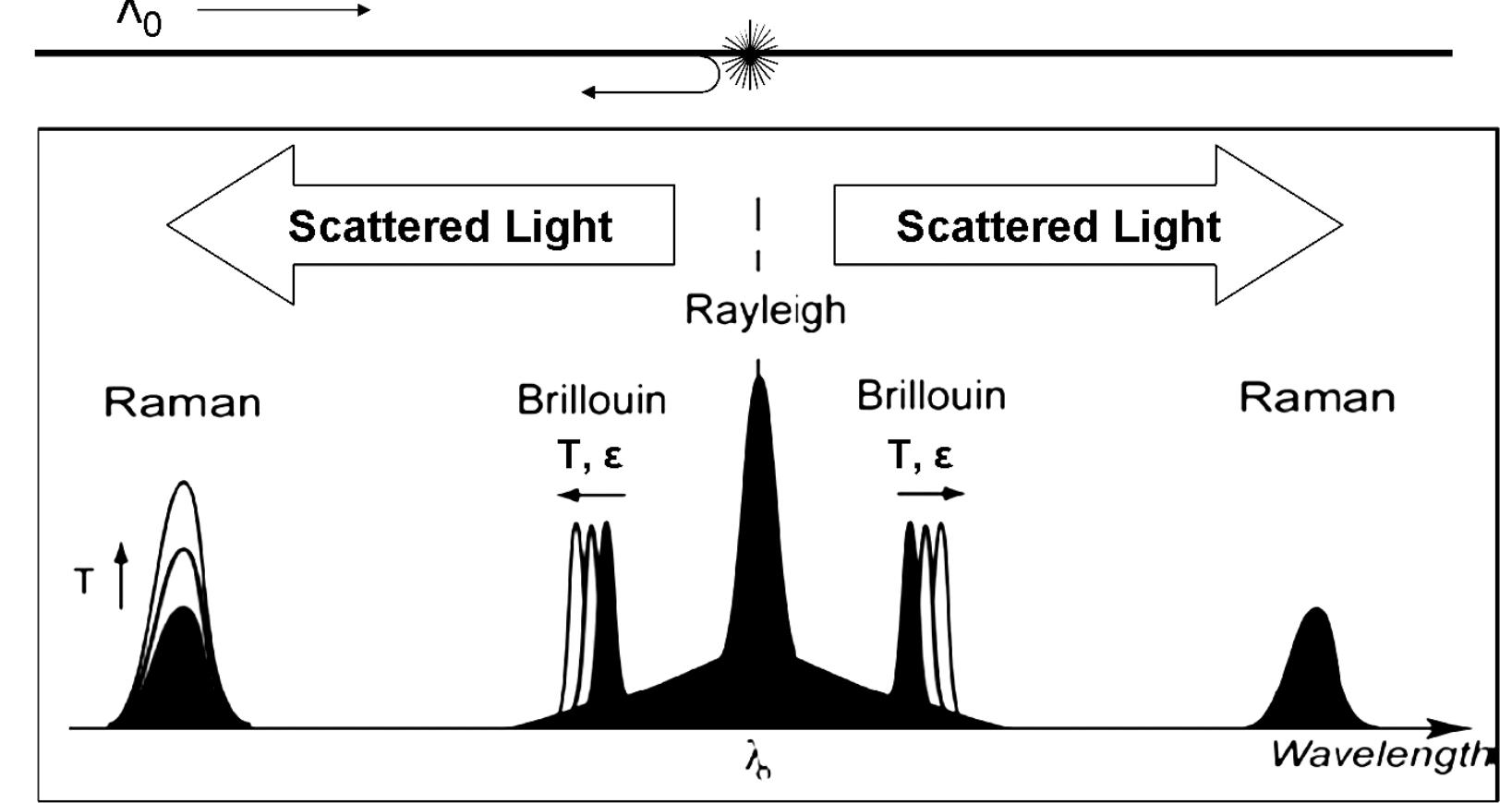 Eee aa both the raman and brillouin scatterings make use of