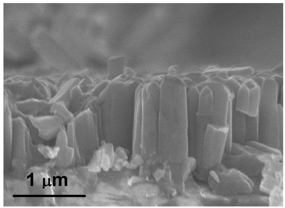 Cross section sem image of zno nanorods grown by chemical