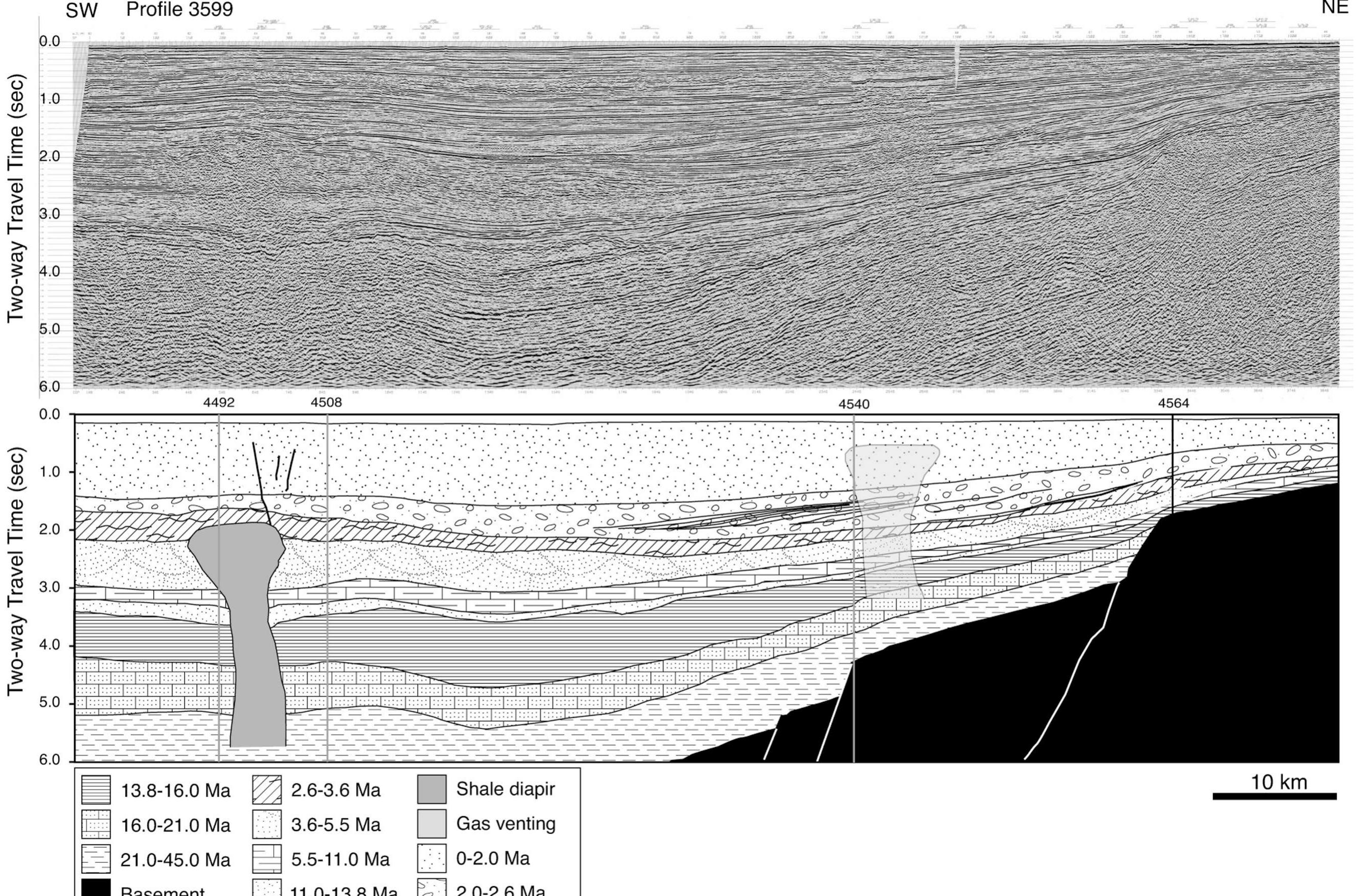 Figure 3 - The sedimentary and tectonic evolution of the