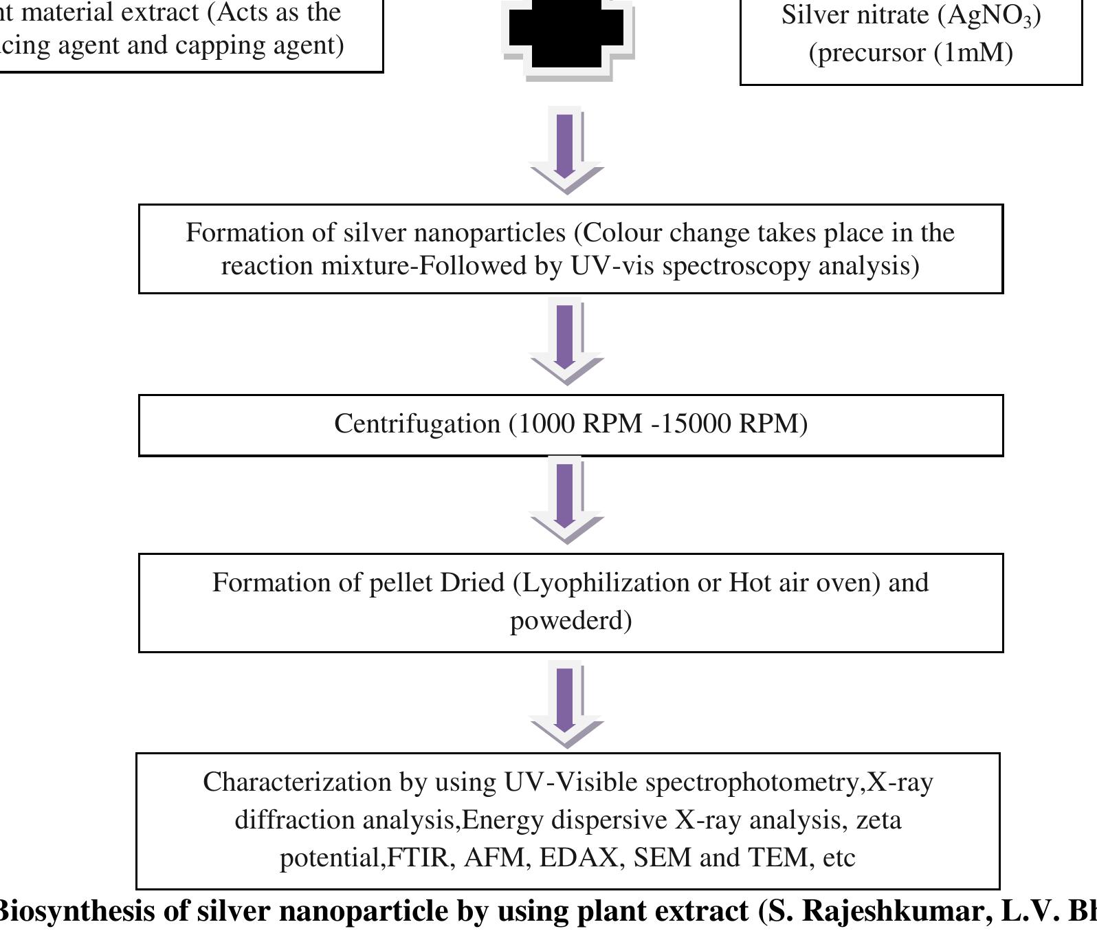 Mechanism of synthesis of silver nanoparticle using plant