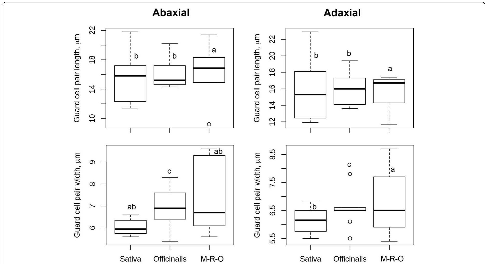 Box plots represent the diversity in guard cell size in