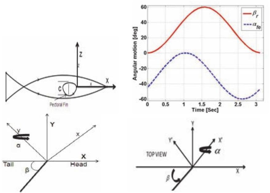 Fin Experiments (PDF) A Tendon Driven Biorobotic Pectoral Fin: Mechanism and Analysis