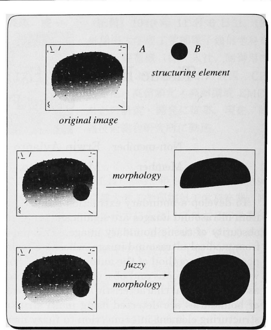 (PDF) Tissue Boundary Extraction from Ultrasound Image Using Fuzzy ...