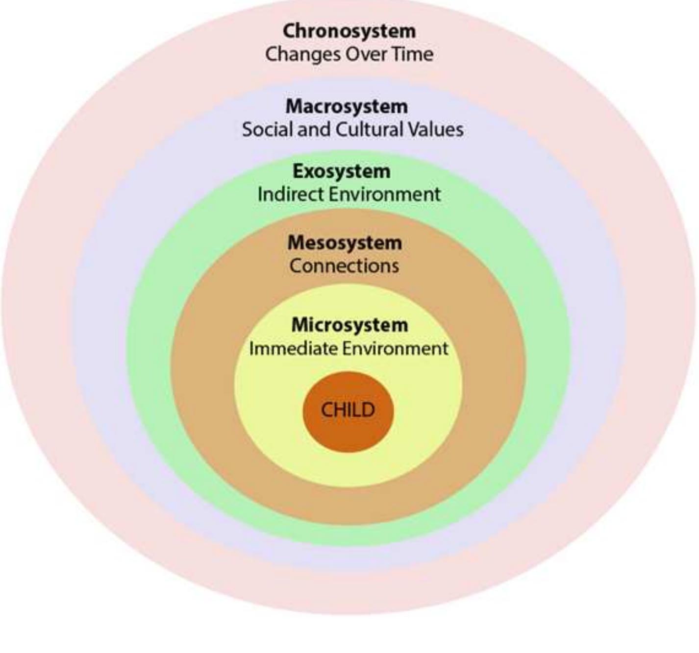 Bronfenbrenner's ecological systems theory, psychology notes