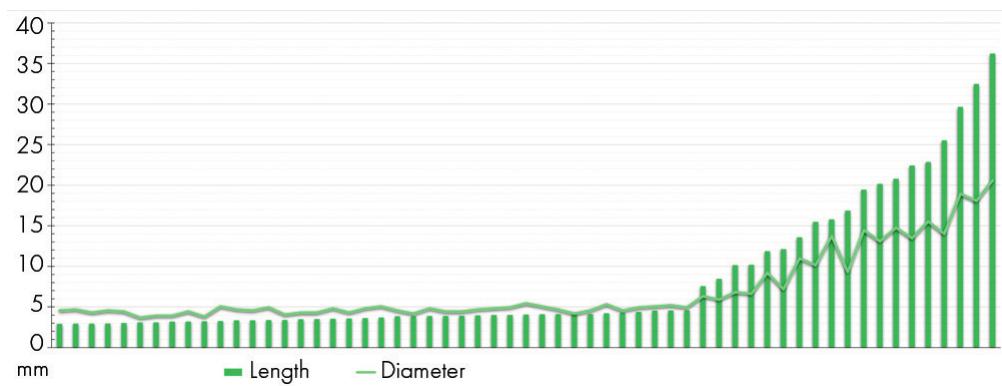 Fig. 4. Stacked histogram combining the lengths and the diameter values of the short and long beads (N = 59) from concentration A in mine 83. 