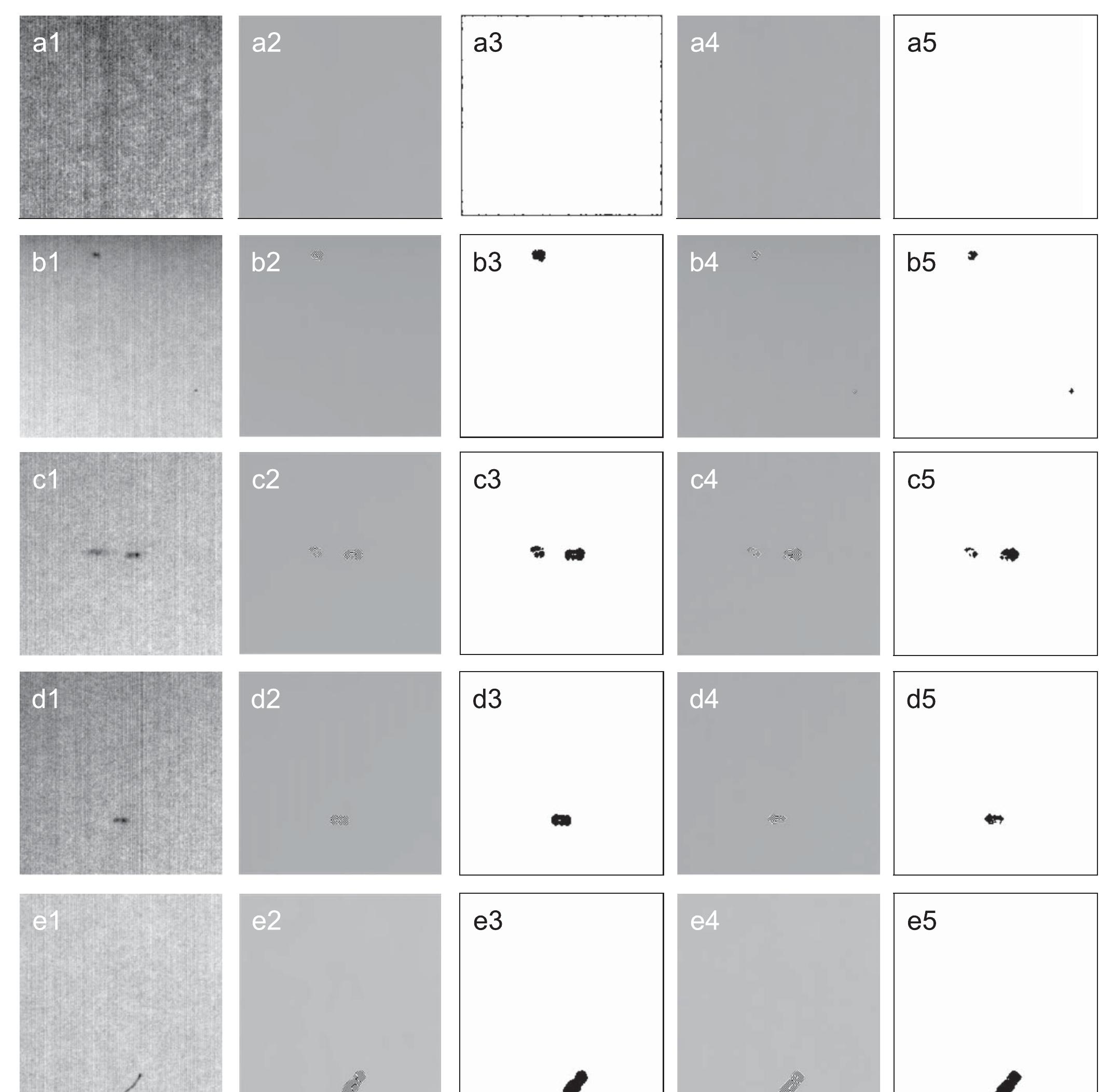 Low-contrast sample images of backlight panels: (a1)