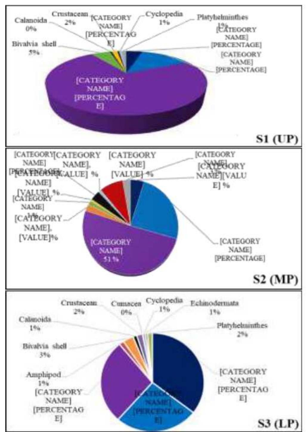 (PDF) Distribution and Diversity of Macrobenthos in Sangu River Bangladesh