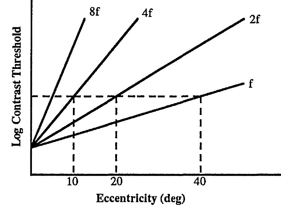 (PDF) Image invariance with changes in size: the role of peripheral ...