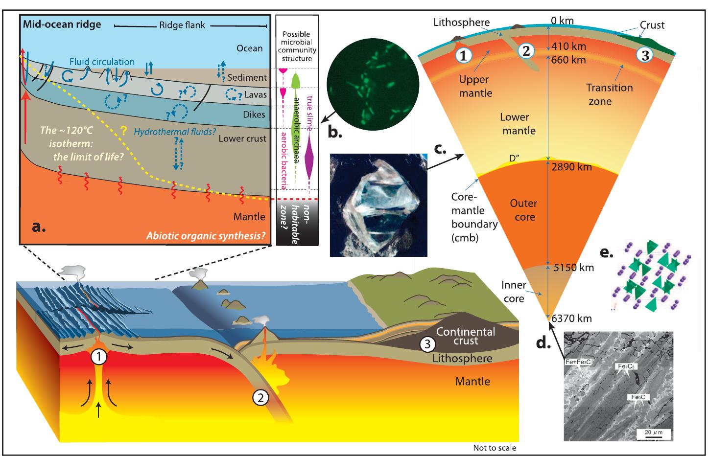 Poorly Earth (PDF) Carbon in Earth's interior: Storage, cycling, and life