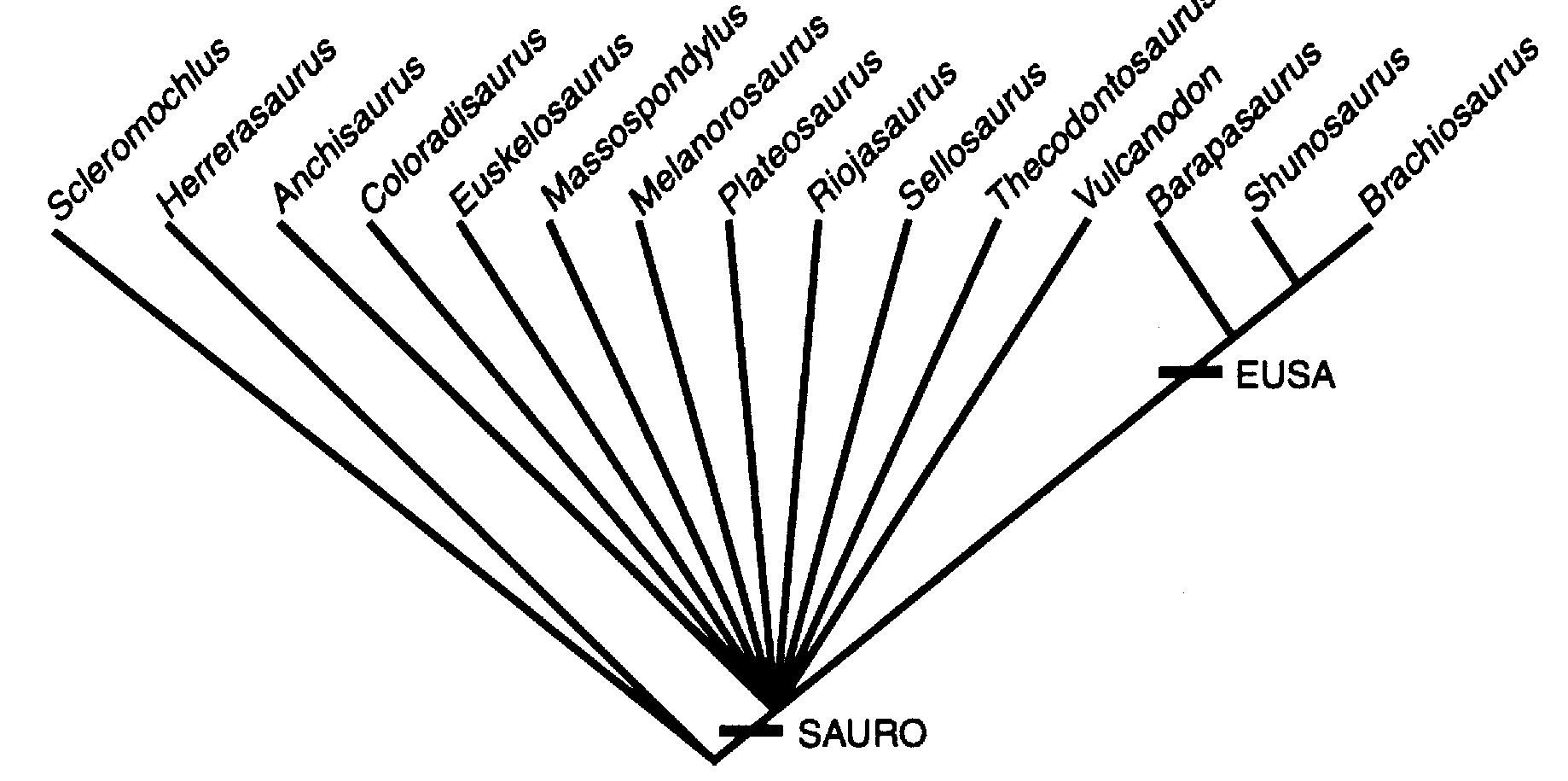 Dinosaur Algorithm (PDF) A new species of the primitive dinosaur Thecodontosaurus ...