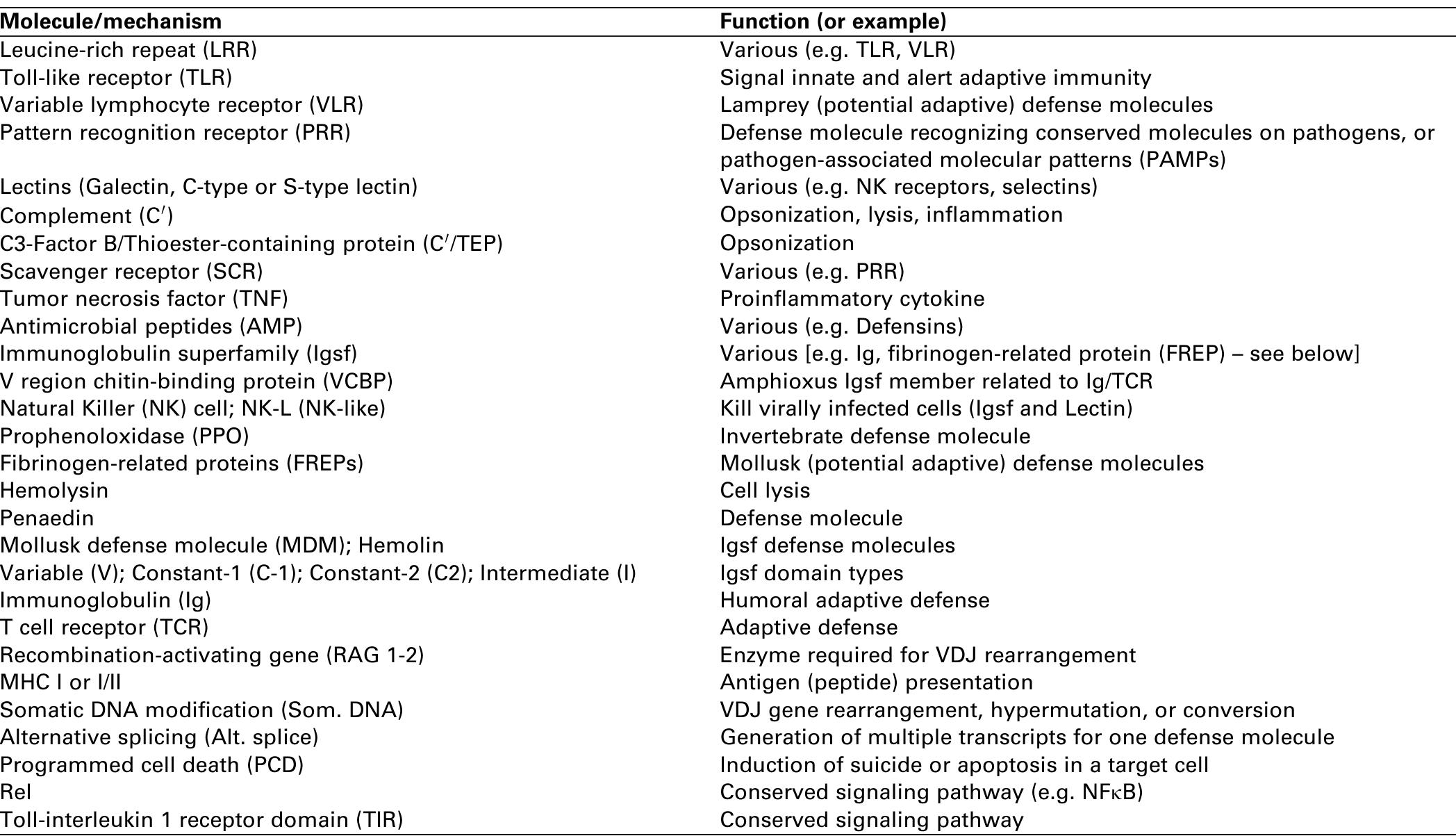 (PDF) Evolution of innate and adaptive immunity: can we draw a line?