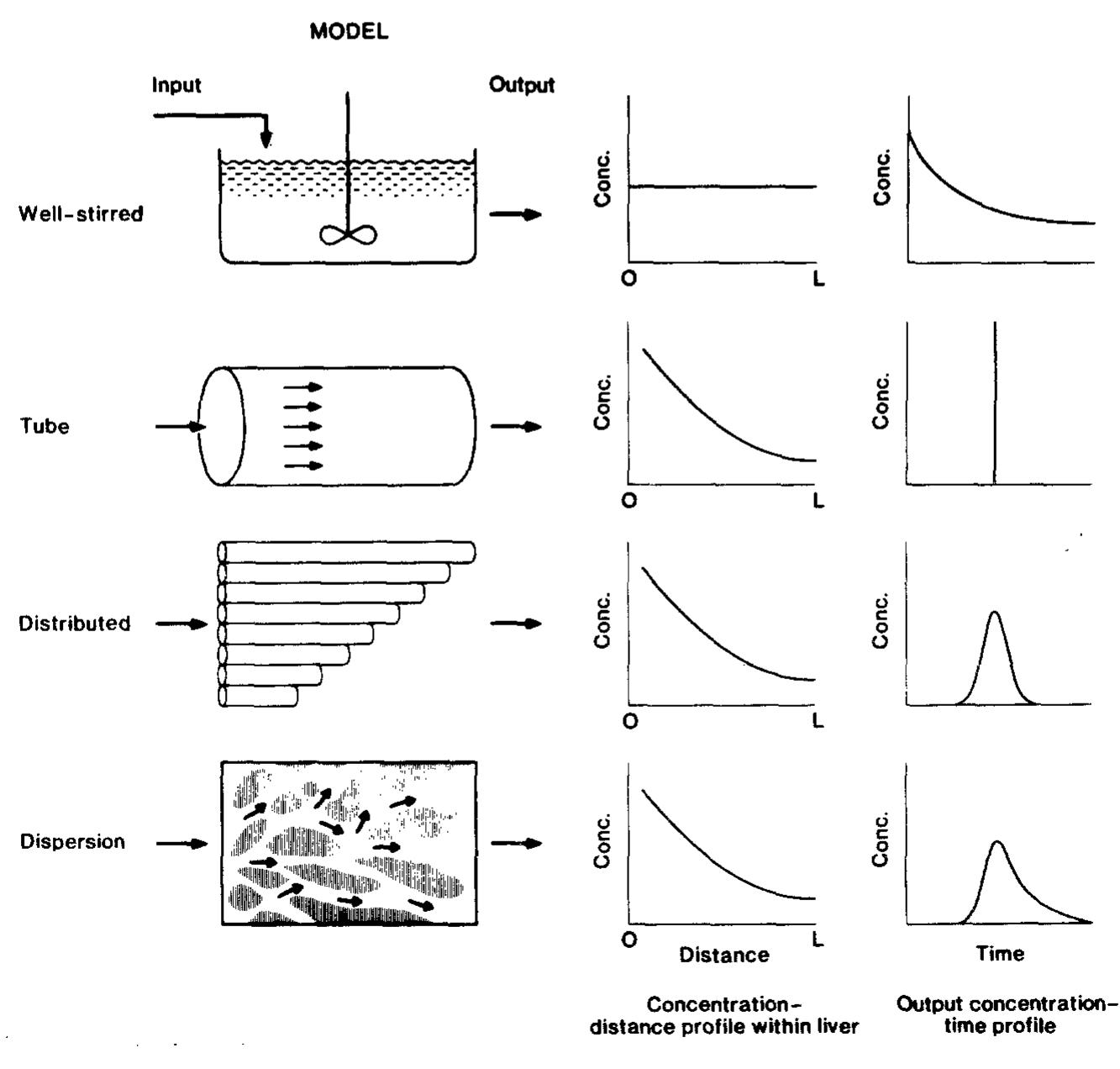Figure 1 - A dispersion model of hepatic elimination: 1.