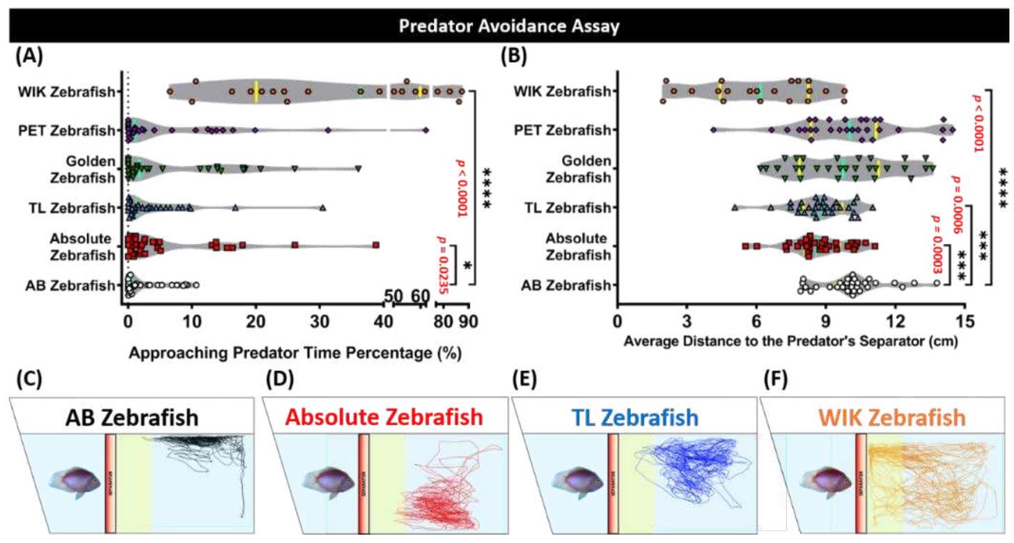 Also Wik (PDF) Which Zebrafish Strains Are More Suitable to Perform Behavioral ...