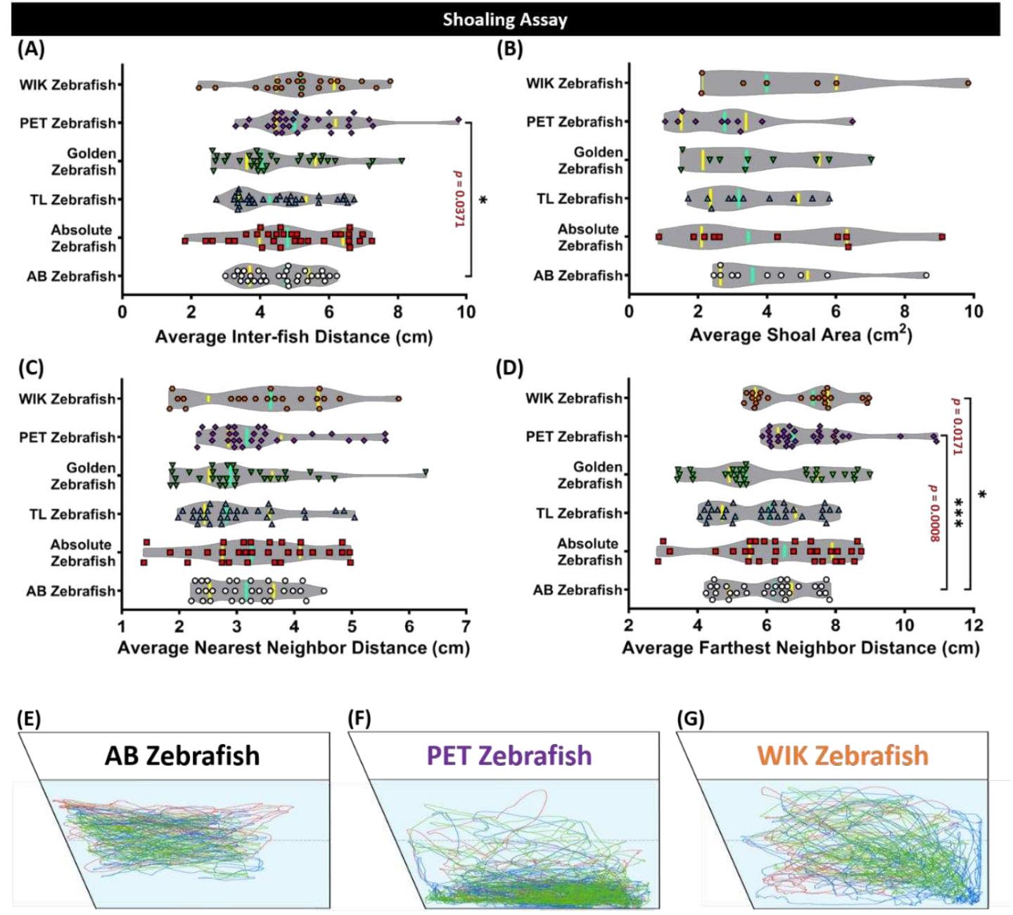 (PDF) Which Zebrafish Strains Are More Suitable to Perform Behavioral ...
