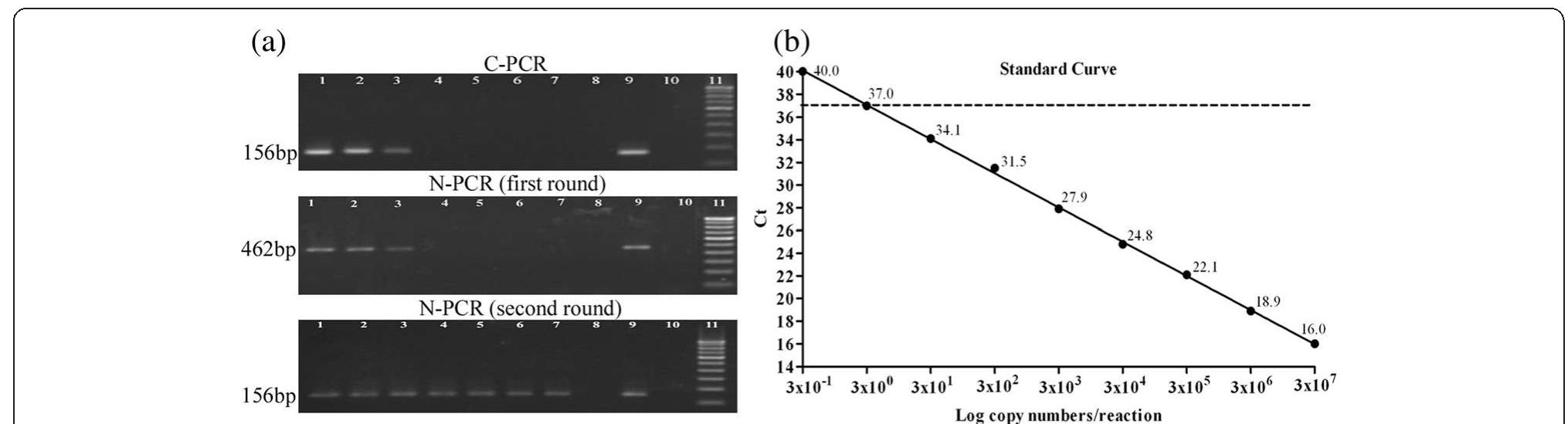 (PDF) Evaluation of fliC-d based direct blood PCR assays for typhoid ...