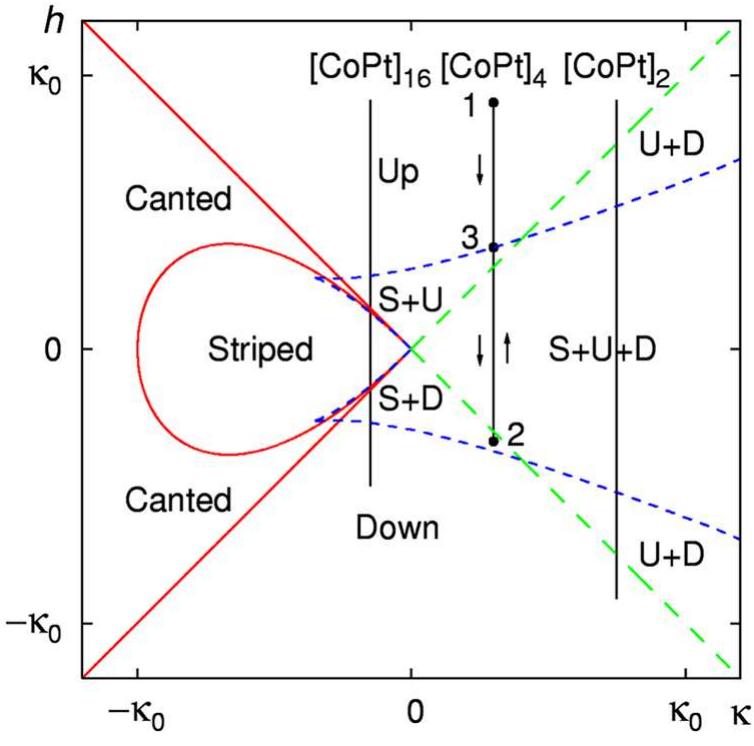 Moke images of the evolution of the [co/pt], domain