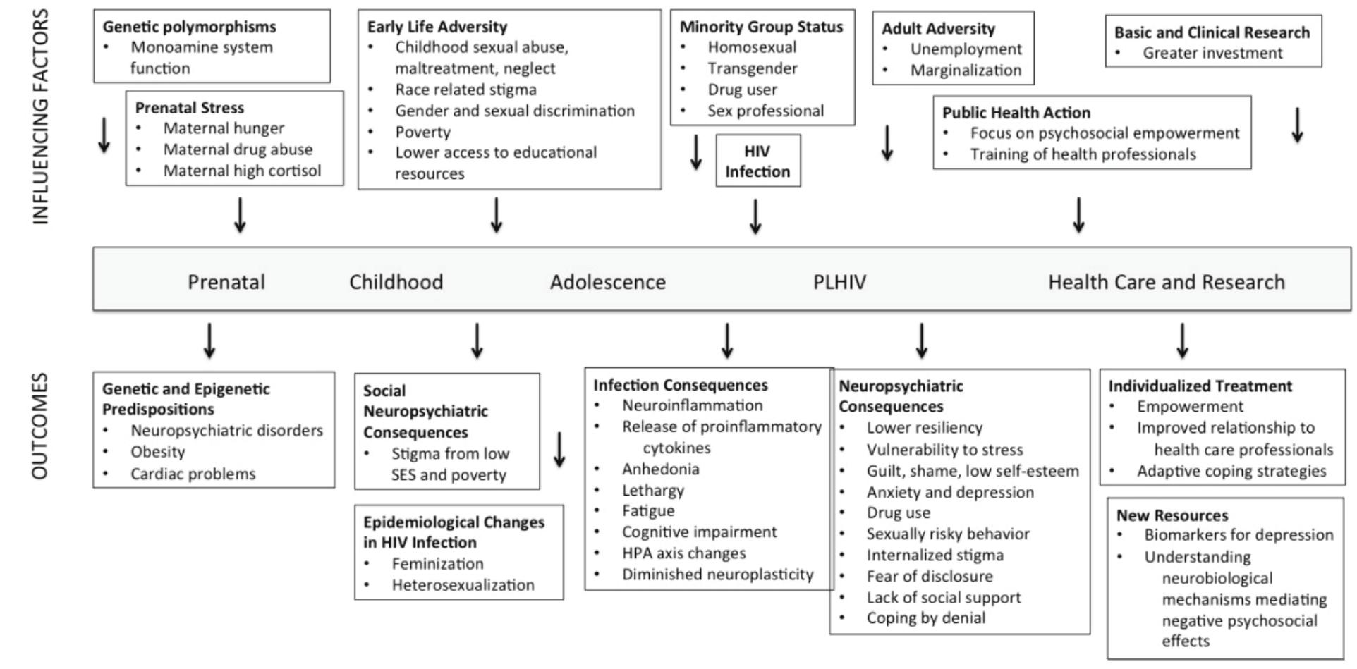 Neurodevelopmental Model (PDF) A Neurodevelopmental Model for the Origin of Depression Amongst ...