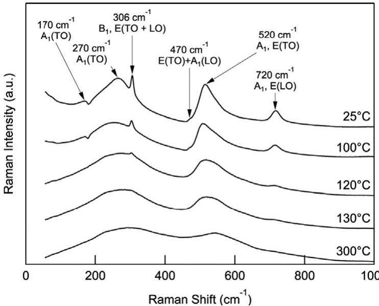 Temperature evolution of the raman spectra for undoped