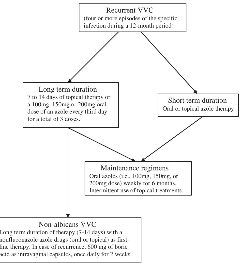 Recurrent Vvc (PDF) Boric Acid for Recurrent Vulvovaginal Candidiasis: The Clinical ...