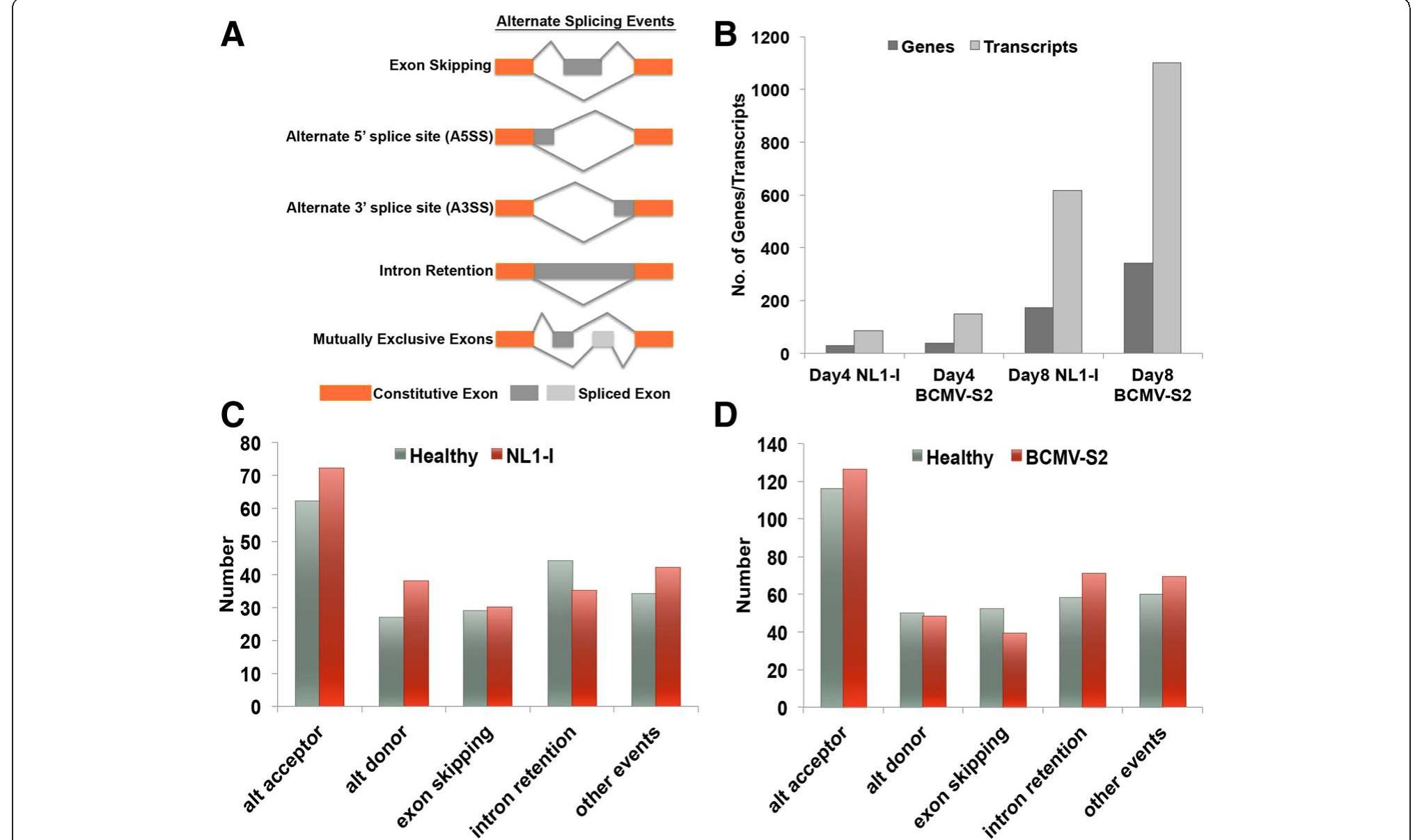 (PDF) Dynamic transcriptome profiling of Bean Common Mosaic Virus (BCMV ...
