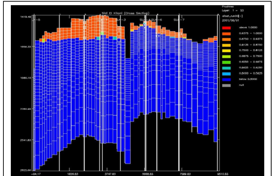 Cross section showing oil saturation and the free water