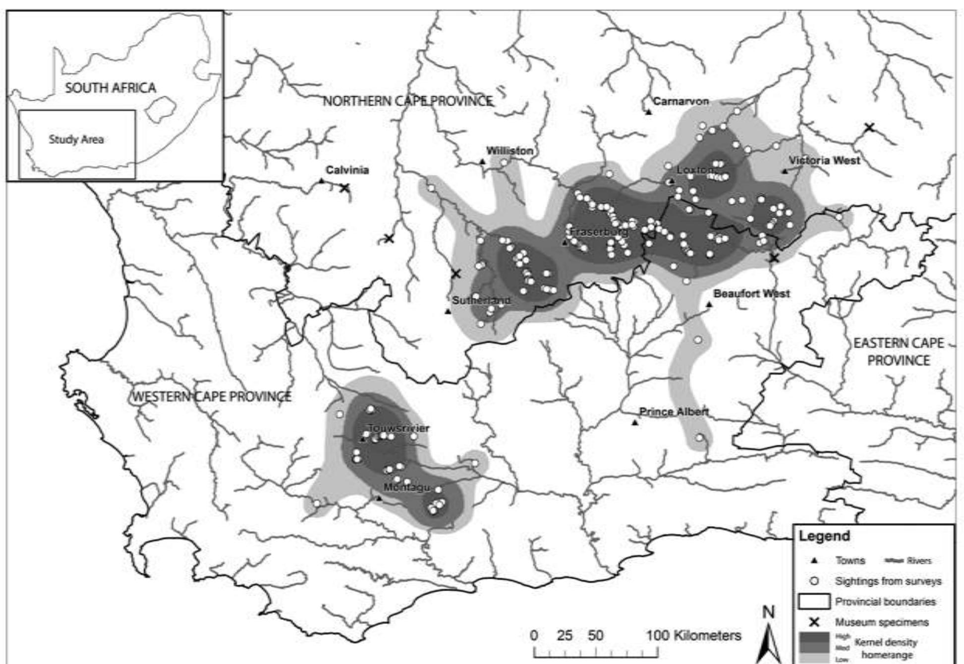 (PDF) Population status and distribution modelling of the critically ...