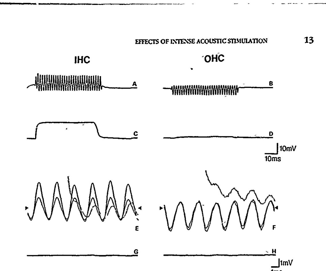PDF) Symposium: Noise-Induced Hearing Loss Held in Beaune, France